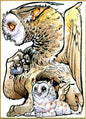 Owl griffin art print, 5x7